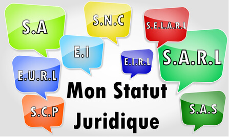Elaboration des statuts